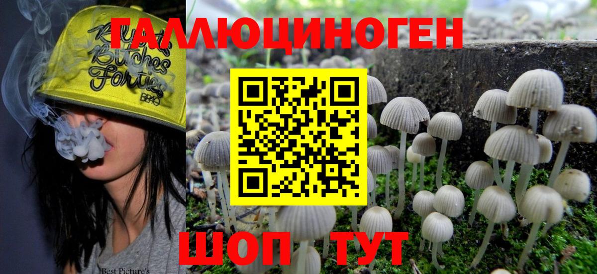 купить наркотик  Вход с VPN  Кисловодск  Галлюциногенные грибы мухоморы 
